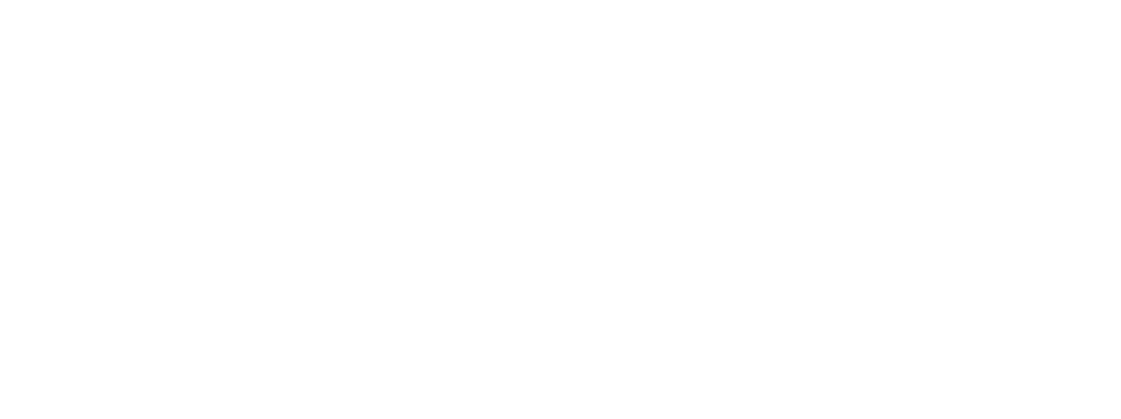 What errors have been committed by the committee members by the president picture